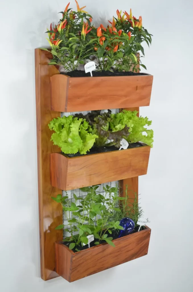 Vertical Gardening - Rising Above the Constraints