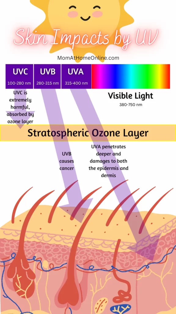 Skin Impacts by UV